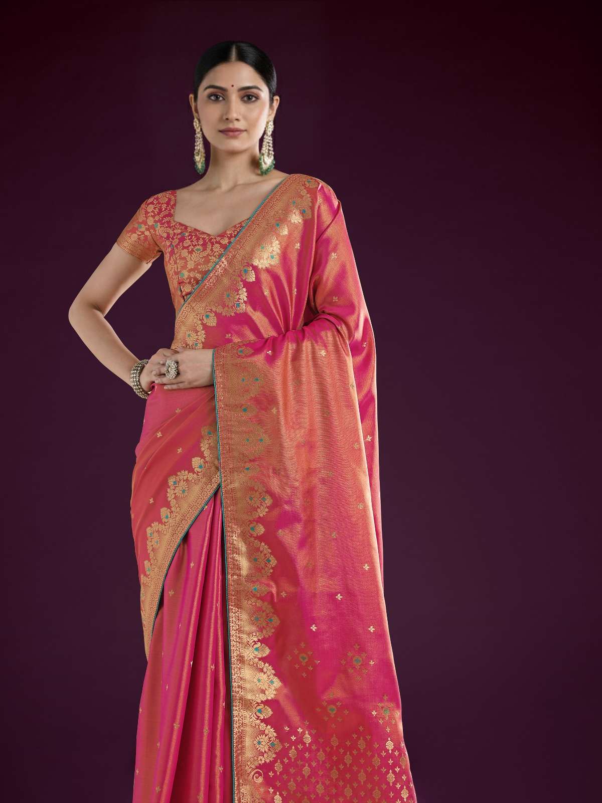 rudraksh tissue silk fabric with super cool zari weaving saree rudraksh tissue silk fabric with super cool zari weaving saree