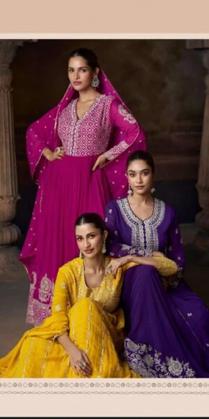 rudraksh saadgi tredy festive look and back embroidered gown & dupatta